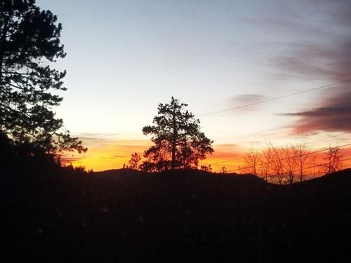 6968 Weasel Way, Lakewood, CO 80439