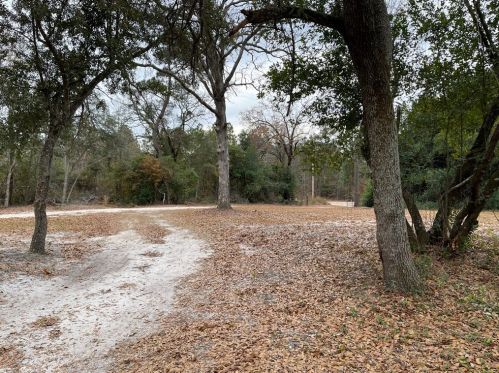 46 Wren Rd, Windsor, SC 29856-2335