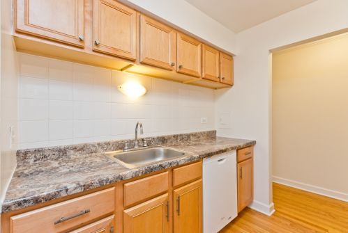 1022 Catalpa Ave, Chicago, IL 60640-1520