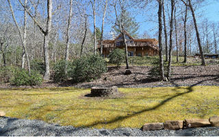 1976 Tyler Ln, Hiawassee, GA 30546-4142