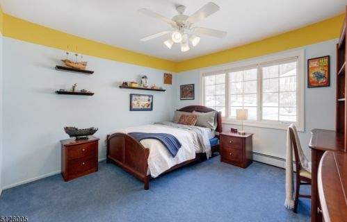 4 Tulip Ln, Dover NJ  07869-4773 exterior