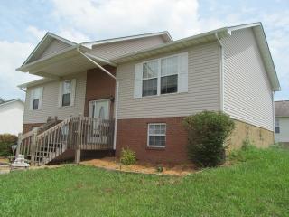 217 Tristain Rd, Dandridge, TN 37725-4681
