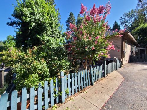 1320 Dimity Ln, Swansboro Country, CA 95667-4710