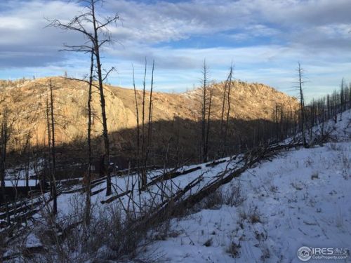 156 Mount Mcconnell Dr, Red Feather Lakes, CO 80536-9302