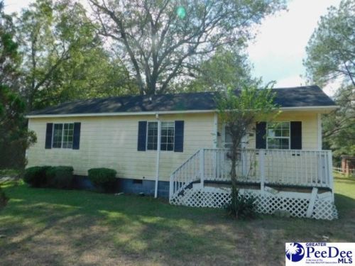 106 Henry St, Darlington, SC 29532-5128
