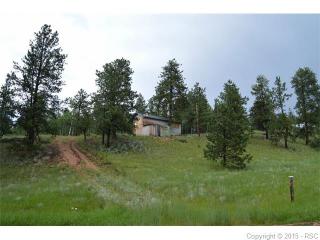 18 Paint Pony Ln, Twin Rock, CO 80816-8304