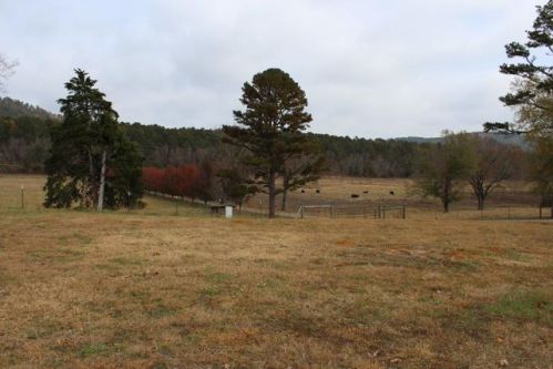 1185 Sims Loop Rd, Sims, AR 71969-7041