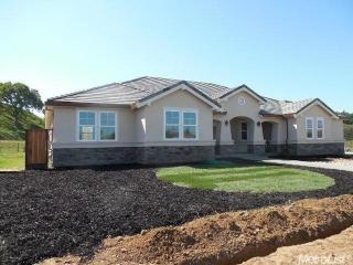10212 Fox Borough Dr, Valley Home, CA 95361-7645