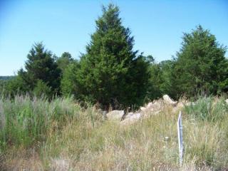 265 Lookout Rdg, Branson, MO 65616-8017