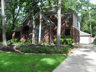 324 Golden Arrow Cir, Spring TX  77381-4646 exterior