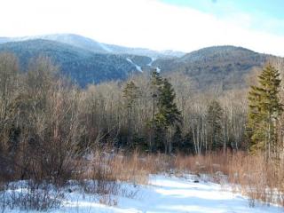 3 Slide Brook Rd, Fayston VT  05673-7056 exterior
