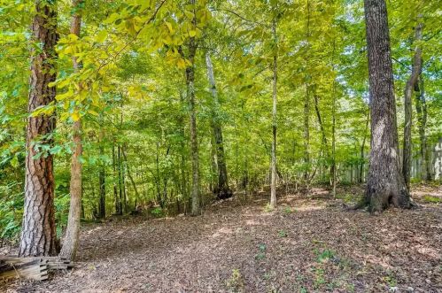 14 Forest Ridge Ct, Atlanta GA  30350-1802 exterior