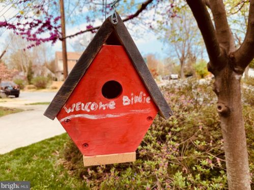 2233 Luzerne Ave, Silver Spring MD 20910-2135 exterior