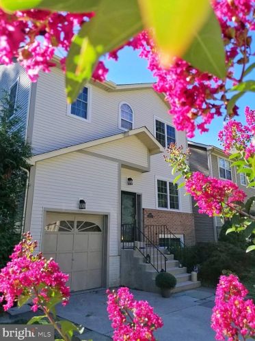 12914 Acorn Hollow Ln, Silver Spring MD  20906-3200 exterior