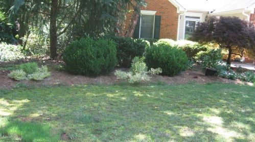 1017 Wedgewood Ct, Holly Springs, GA 30189-1507