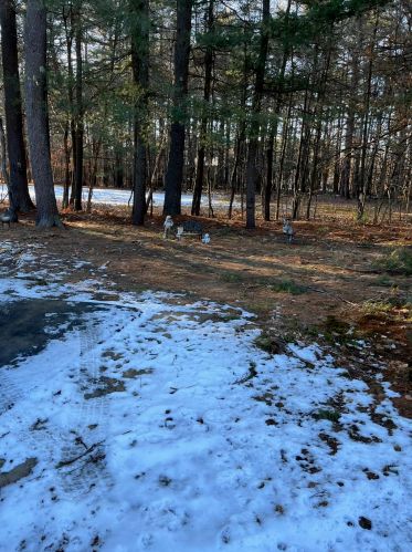 3 Colonial Vlg, Somersworth, NH 03878-1547