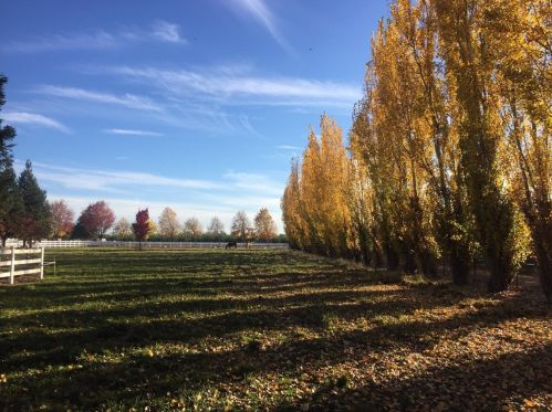 30999 Grooms Rd, Valley Home CA 95361-7513 exterior