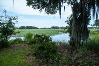 6601 La Roche Ave, Savannah, GA 31406-3128