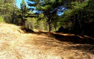 280 Parks Dr, Turtletown, TN 37391-4855