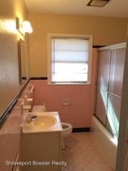8921 Shady Ln, Shreveport LA  71118-2231 exterior