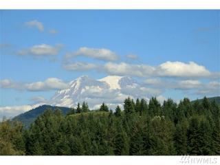 48225 Alder Cutoff Rd, Alder, WA 98328-7484