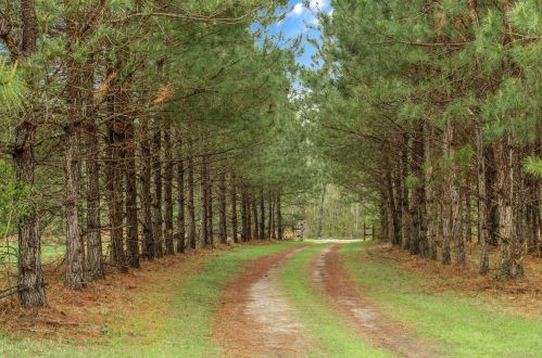 4488 Pond Town Rd, Brunson SC  29911-3801 exterior