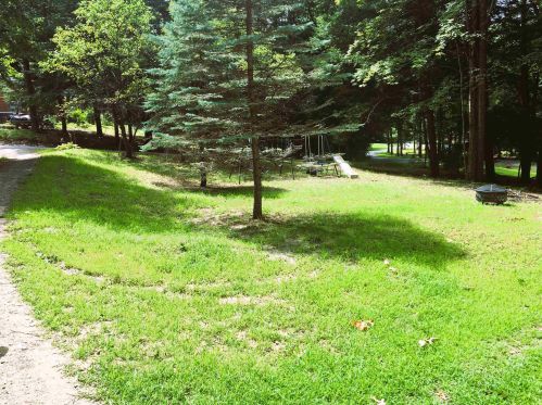 42 Cobb Rd, Unity, NH 03603-4301