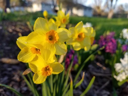 506 2nd Ave, Saint Paul MN  55112-6824 exterior