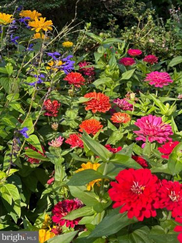 103 Cv Vw Trl, Severna Park MD 21146-4614 exterior