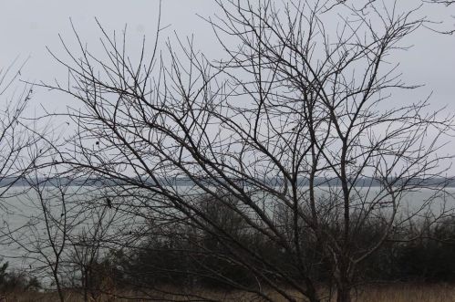 1857 Private Road 5411, Princeton TX  75407-5418 exterior