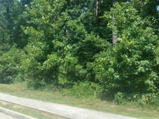 7456 Cherry Blossom Way, Winston, GA 30187-2069