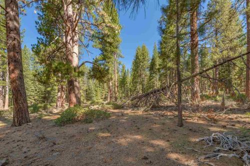 11590 Bottcher Loop, Truckee CA  96161-2786 exterior