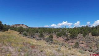 1790 Green Shadows Rd, Durango, CO 81303-7335