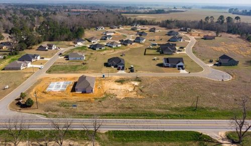 40 Cole Dr, Klondike, GA 31036-5557