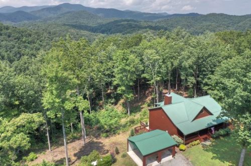 3687 Flat Branch Rd, Ellijay, GA 30540-0003