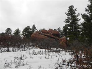 6176 Torrey Pines Dr, Palmer Lake CO  80118-9738 exterior