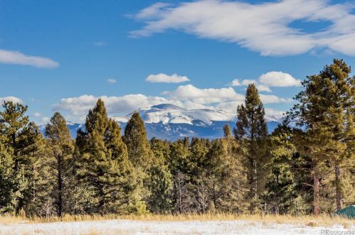 738 Rangeview Rd, Divide, CO 80814-8107