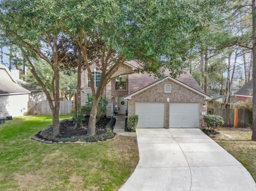 6 Rambling Ridge Pl, Conroe, TX 77385-3551