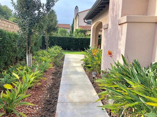 203 Mantle, Irvine CA  92618-1514 exterior