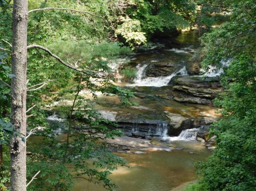 270 Waterfall Dr, Cleveland, GA 30528-4270