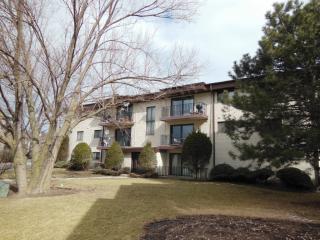 8337 Captons Ln, Oak Brook IL  60561-5506 exterior