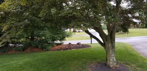 122 Knowlton Rd, Media PA  19063-4930 exterior