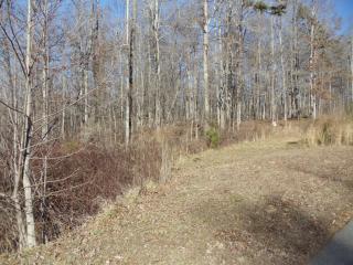 217 Trilium Trl, Pendergrass, GA 30567-3491