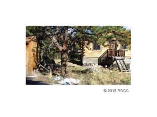 1992 Singletree Rd, Hartsel, CO 80449-8515