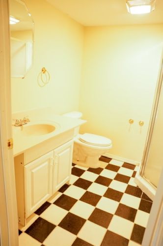 379 Palmer Dr, Lemont IL  60490-2039 exterior