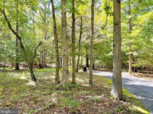 189 Lyle House Rd, Mathias WV  26812 exterior