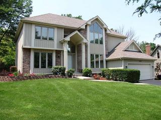 3820 Patty Berg Ct, Downers Grove, IL 60517-1491