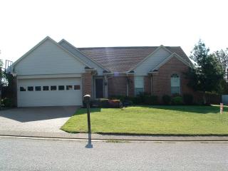 15 Pebblecreek Cv, Three Way, TN 38343-8584