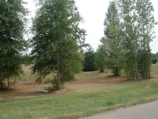 270 Cottonwood Dr, Eads, TN 38028-3778