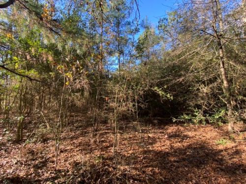 17258 Old Hwy 105, Conroe TX  77304-4434 exterior